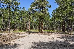 Almost 5 acres of gorgeous heavily wooded acreage in desirable S Black Forest