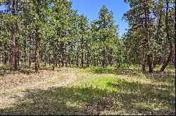 Almost 5 acres of gorgeous heavily wooded acreage in desirable S Black Forest