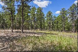 Almost 5 acres of gorgeous heavily wooded acreage in desirable S Black Forest