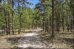 Almost 5 acres of gorgeous heavily wooded acreage in desirable S Black Forest