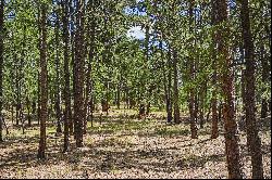 Almost 5 acres of gorgeous heavily wooded acreage in desirable S Black Forest