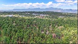 Almost 5 acres of gorgeous heavily wooded acreage in desirable S Black Forest