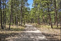 Almost 5 acres of gorgeous heavily wooded acreage in desirable S Black Forest