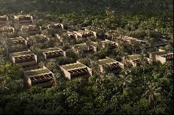 House surrounded by greenery in Trancoso