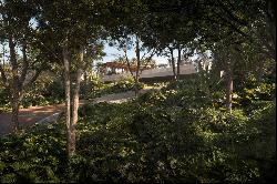 House surrounded by greenery in Trancoso