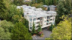 Condo in the Heart of Bellevue