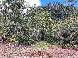 29 HOMESTEAD RD,Laupahoehoe, HI, 96764