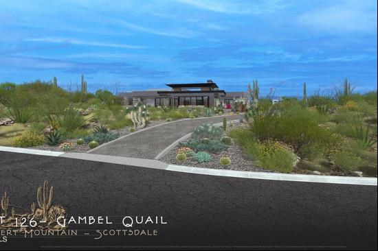 Gambel Quail 126