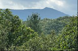 SWEETGRASS - BLOWING ROCK