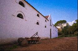 Unique Historical Icon in Bovlei