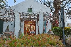 Unique Historical Icon in Bovlei