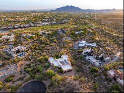 Gambel Quail lot 148