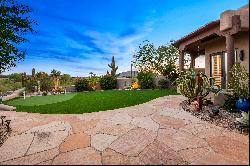 Gambel Quail lot 148