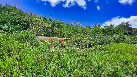 Naranjito Land