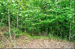 Expansive 4.04+/- Acre Lot with Peaceful Stream