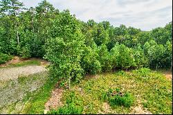 Expansive 4.04+/- Acre Lot with Peaceful Stream