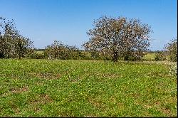 Stunning Property Along The Pedernales