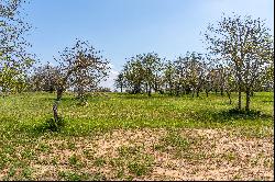 Stunning Property Along The Pedernales