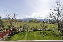 Okanagan Lake Views