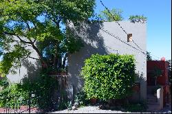 Casa Estudio en el Árbol