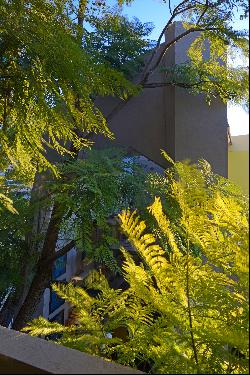 Casa Estudio en el Árbol