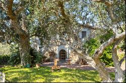 Wonderful XVII-XVIII century farmhouse with forest, swimming pool and stables.