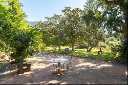 Wonderful XVII-XVIII century farmhouse with forest, swimming pool and stables.