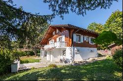 Charming Detached Villa in Le Vaud