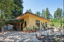 3390 Mount Veeder Road