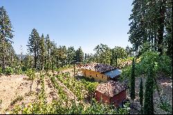 3390 Mount Veeder Road