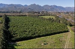  34 Hectare Lifestyle Property, Main Road R45, Franschhoek, Western Cape, 7690