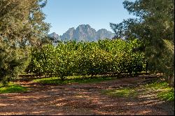  34 Hectare Lifestyle Property, Main Road R45, Franschhoek, Western Cape, 7690