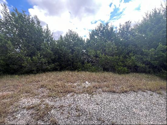 Treed Lot in Midlothian ISD