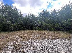 Treed Lot in Midlothian ISD