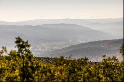 Elevated Level Build Site, Amazing Views, Wind Protected, And Uniquely Private