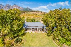 Rural Stellenbosch lifestyle farm with wine and olive impression