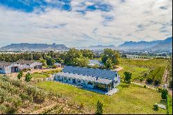 Rural Stellenbosch lifestyle farm with wine and olive impression