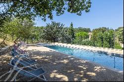 L'Isle-sur-la-Sorgue - Renovated farmhouse with house and outbuildings