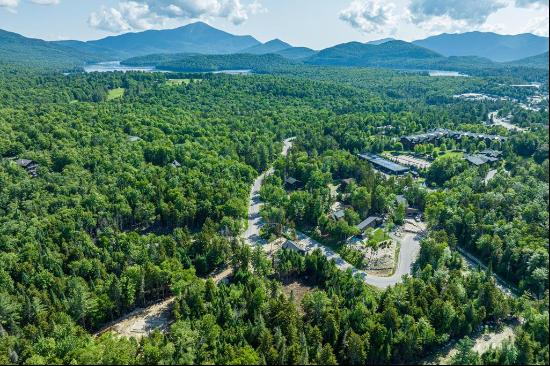 Lake Placid Land