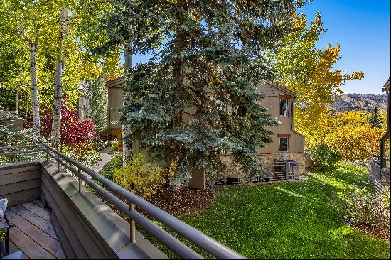 100 North 8th Street, Aspen, CO 81611