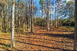 Extremely Private Corner Lot In Highly Sought-After Pike County