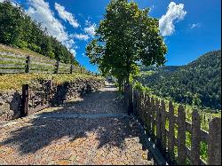 SOUTH TYROL, STATELY EQUESTRIAN FARM WITH VINEYARDS AND STYLISH CHALET