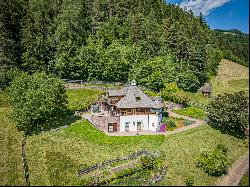 SOUTH TYROL, STATELY EQUESTRIAN FARM WITH VINEYARDS AND STYLISH CHALET