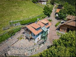 SOUTH TYROL, STATELY EQUESTRIAN FARM WITH VINEYARDS AND STYLISH CHALET