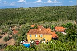 WINE AND OIL ESTATE FOR SALE IN TUSCANY, VALDARNO