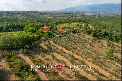 WINE AND OIL ESTATE FOR SALE IN TUSCANY, VALDARNO