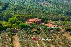 WINE AND OIL ESTATE FOR SALE IN TUSCANY, VALDARNO