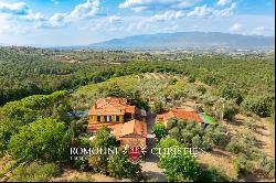 WINE AND OIL ESTATE FOR SALE IN TUSCANY, VALDARNO