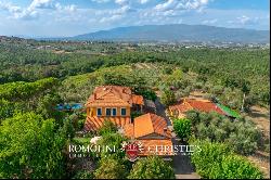 WINE AND OIL ESTATE FOR SALE IN TUSCANY, VALDARNO