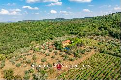 WINE AND OIL ESTATE FOR SALE IN TUSCANY, VALDARNO